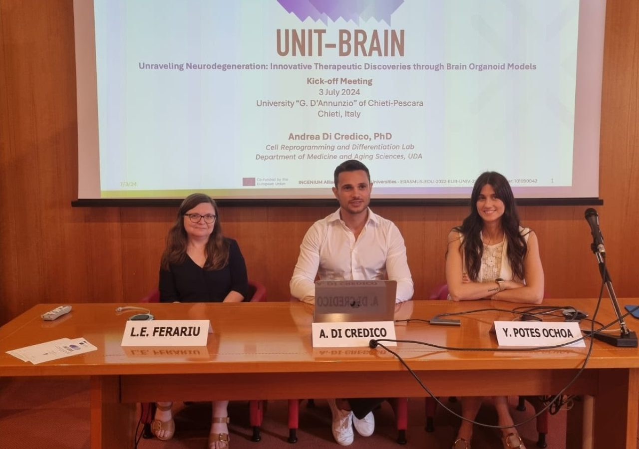 Unit Brain Ingenium
